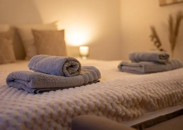 T3 Cosy Climatise Avec Exterieur-toulouse Est Toulouse