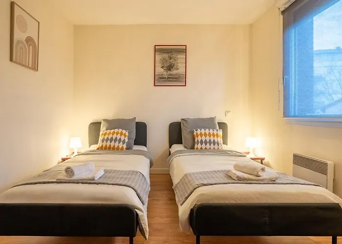 T3 Cosy Climatise Avec Exterieur-toulouse Est Toulouse